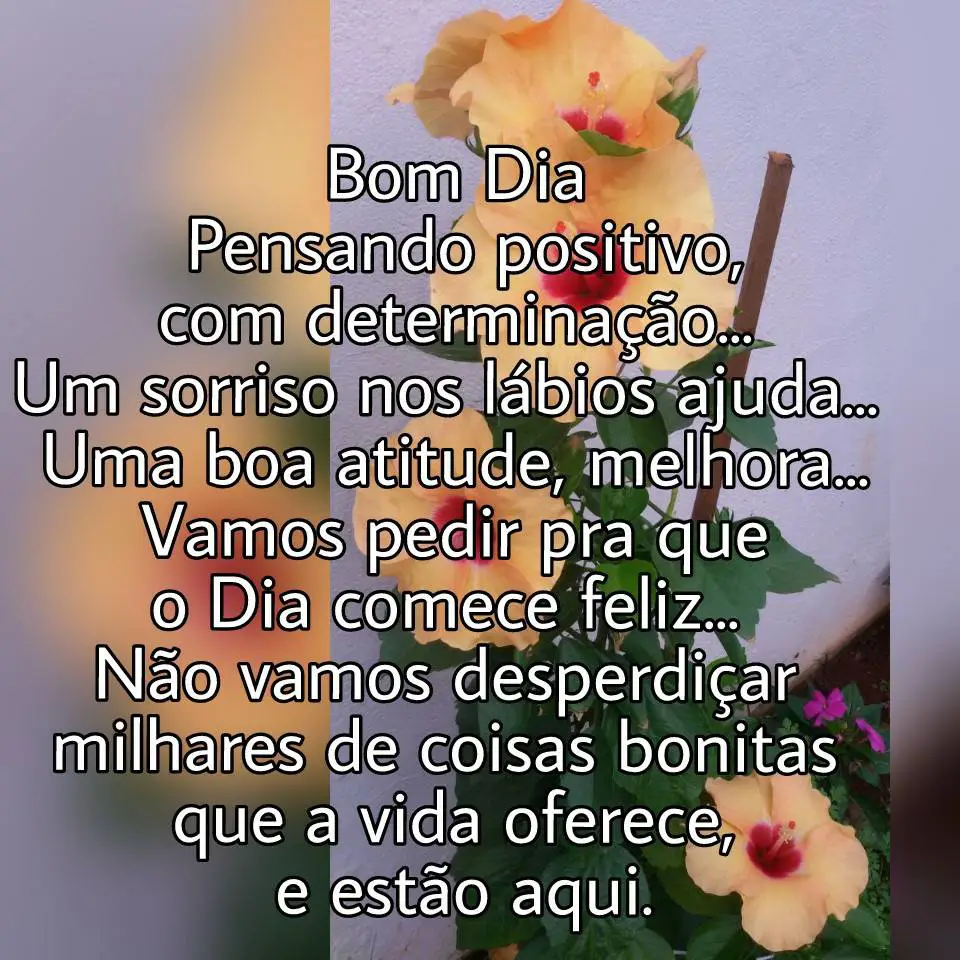Mensagem de Bom Dia para Whatsapp e Facebook